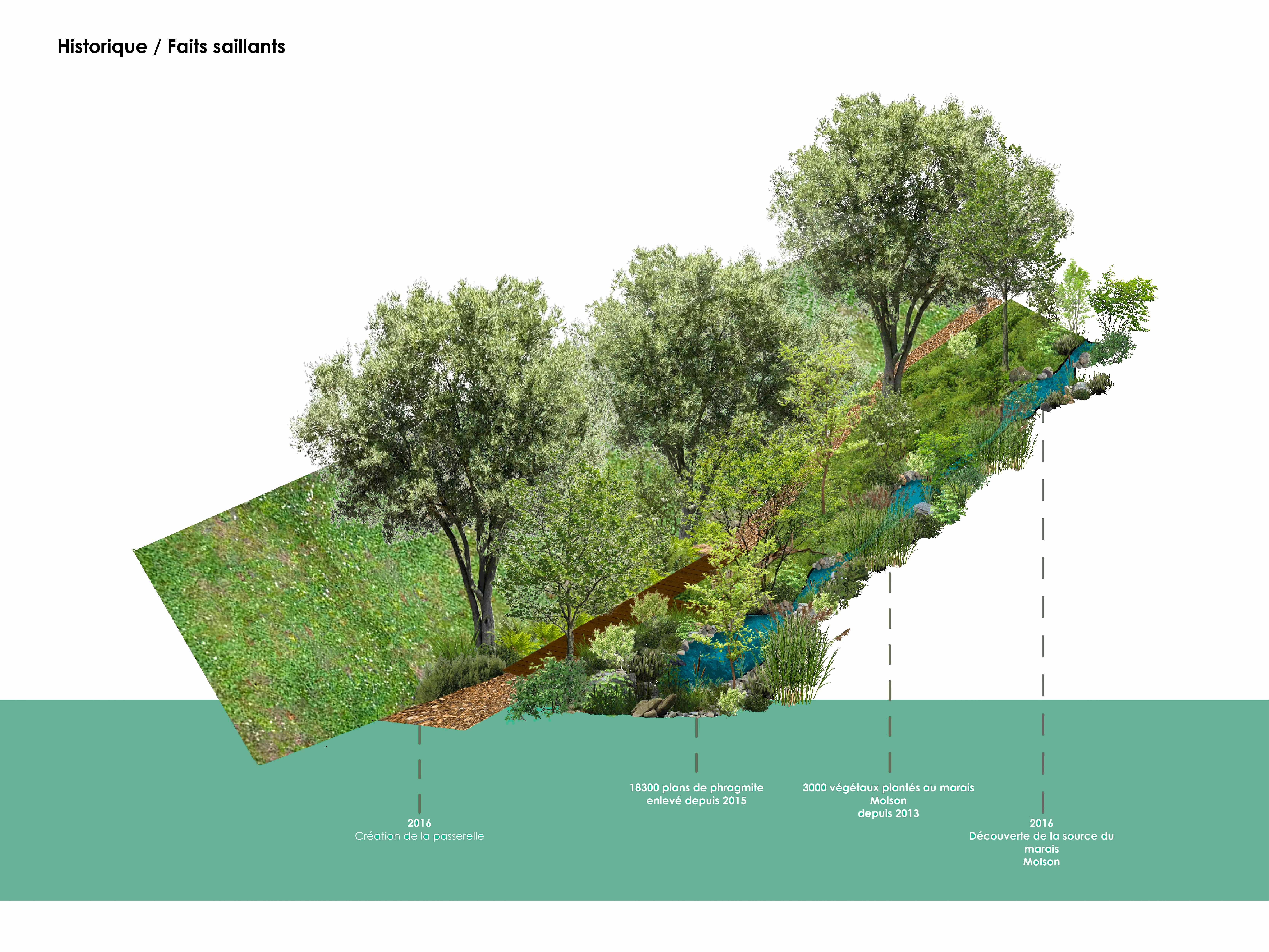 Marais Molson Schema